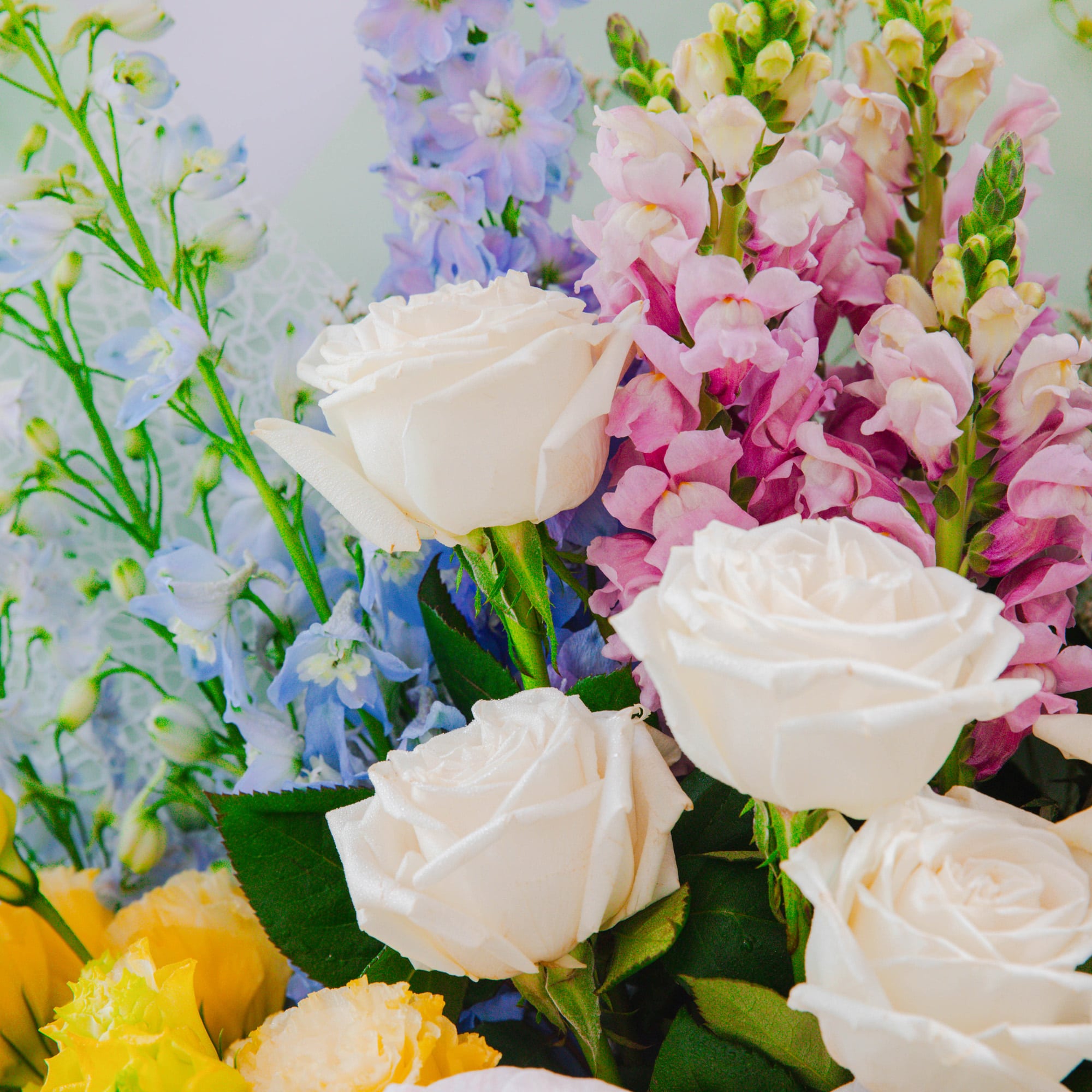 Closeup Luxurious Bouquet White Orchids